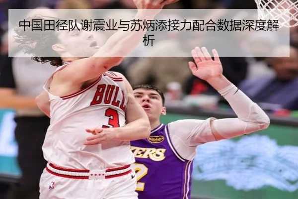 中国田径队谢震业与苏炳添接力配合数据深度解析